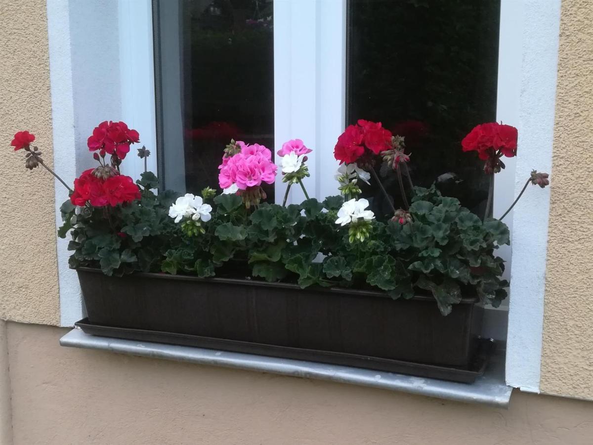 Ferienwohnung Rauscher Altenberg  Esterno foto