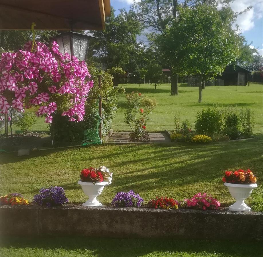 Ferienwohnung Rauscher Altenberg  Esterno foto