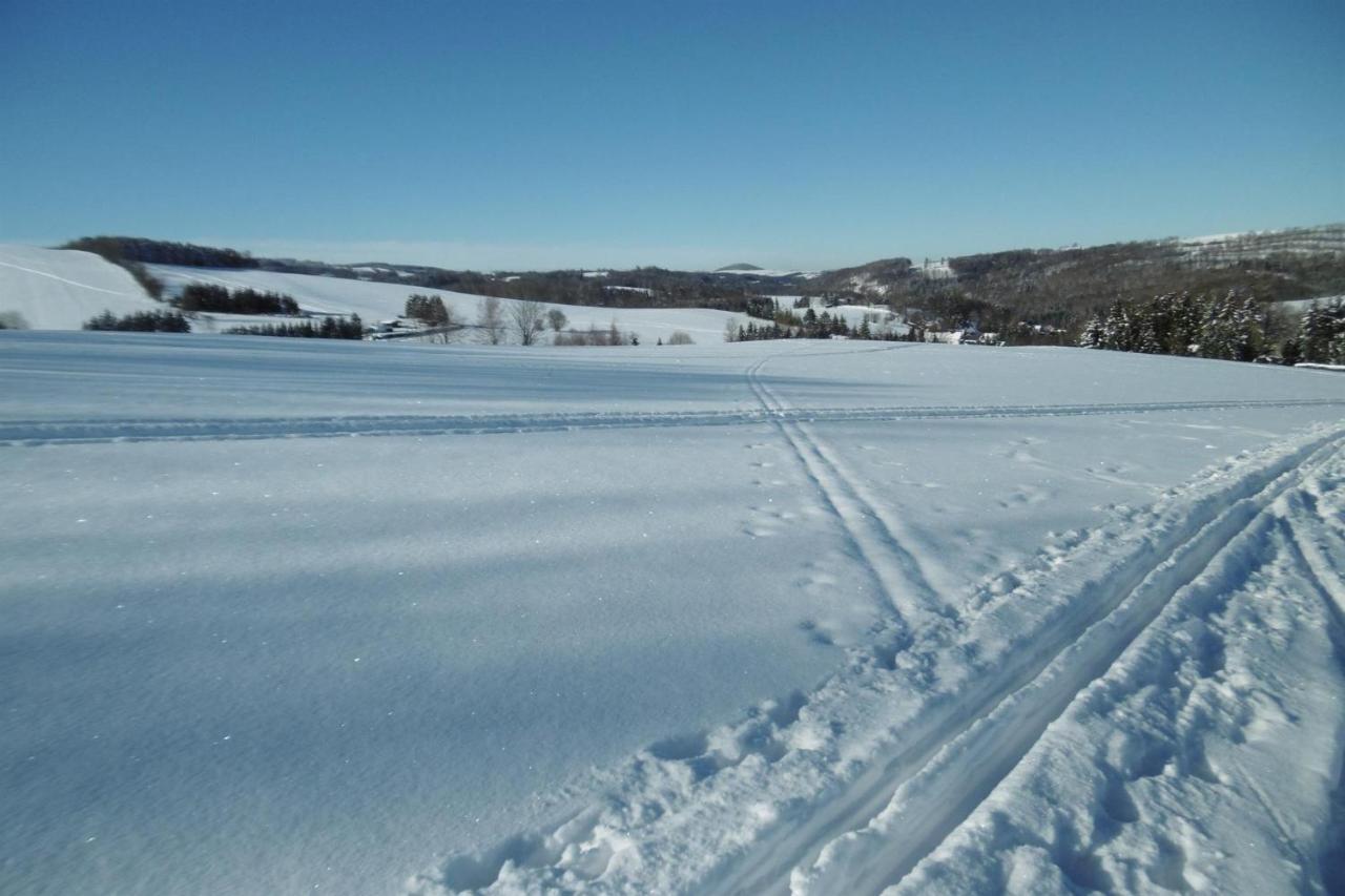 Ferienwohnung Rauscher Altenberg  Esterno foto