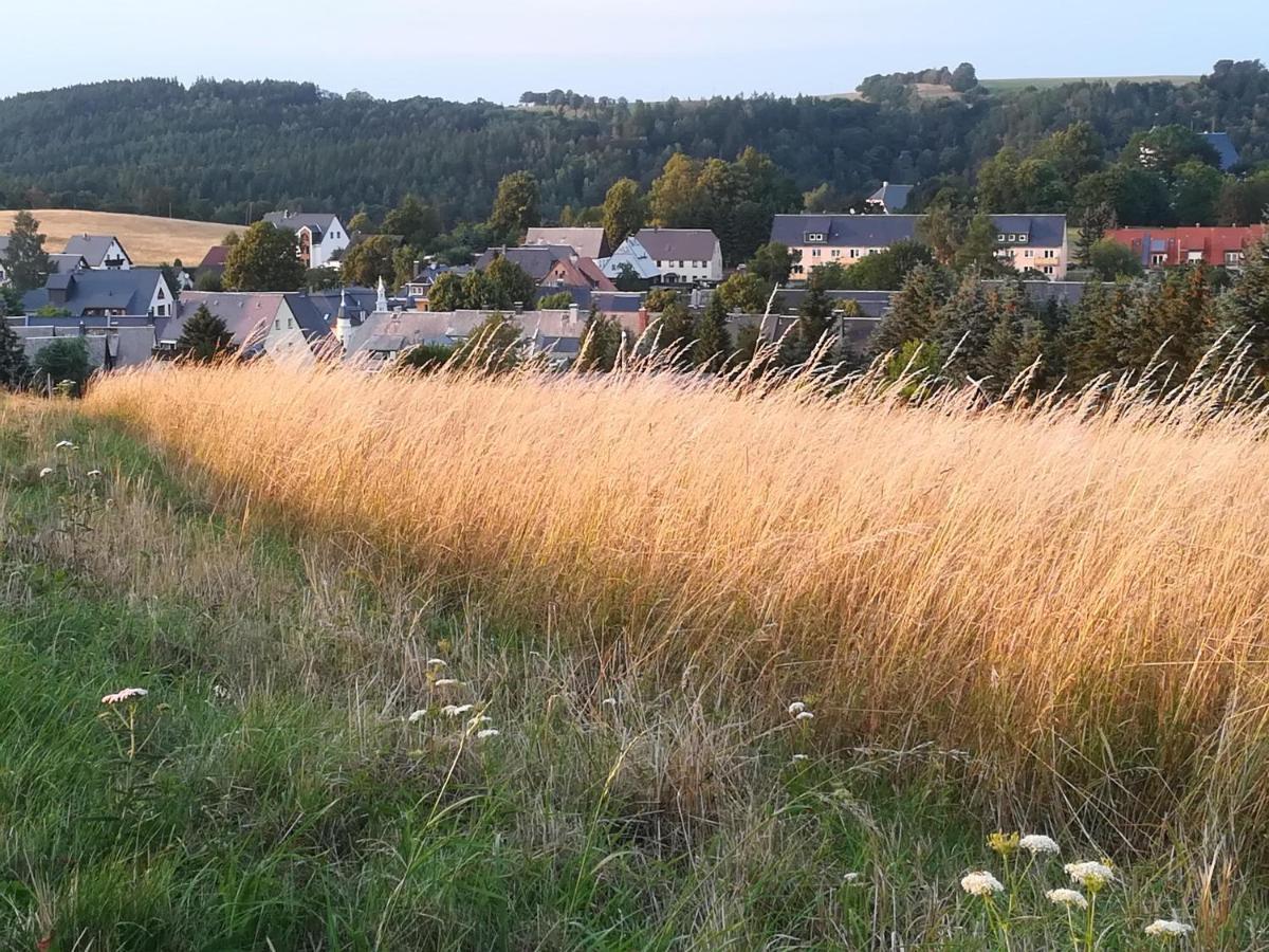 Ferienwohnung Rauscher Altenberg  Esterno foto